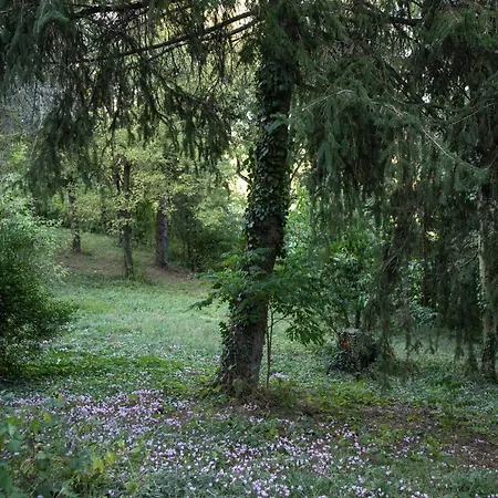 La Marcona