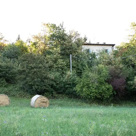 La Marcona Lägenhet Serramazzoni